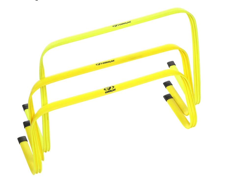 FLAT HURDLE
