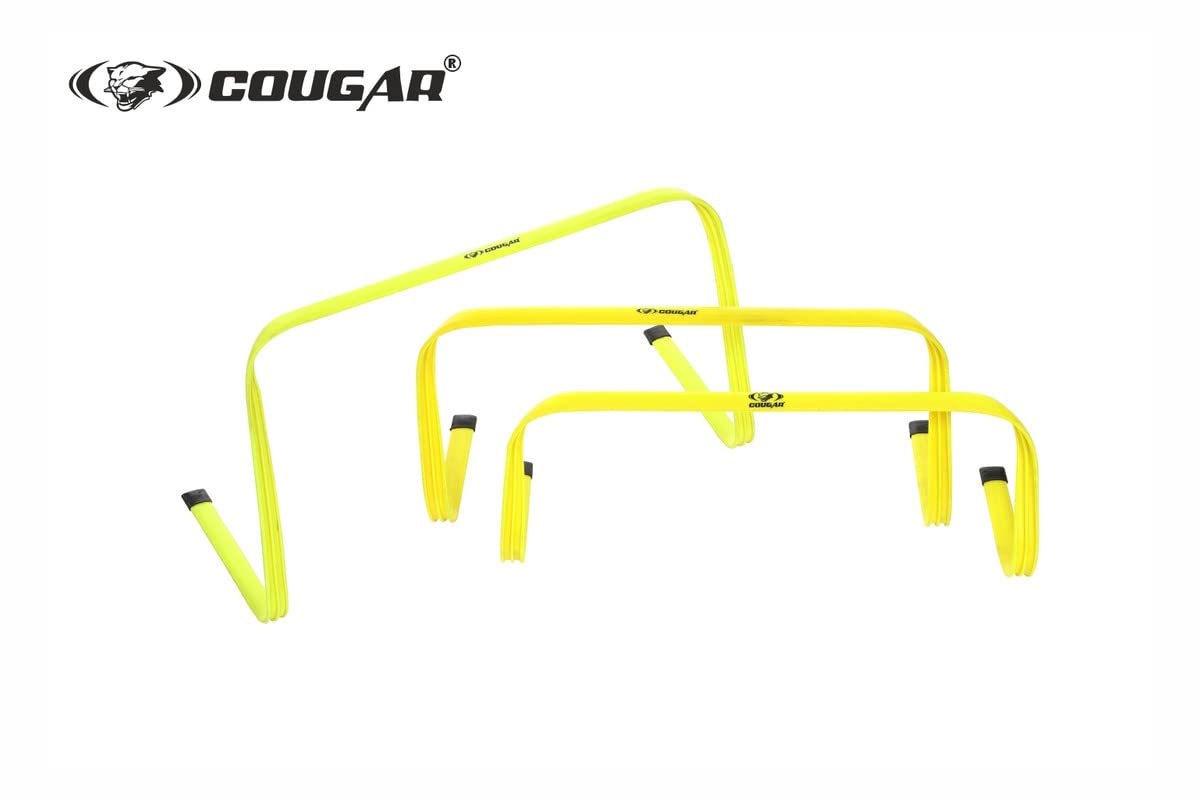 FLAT HURDLE