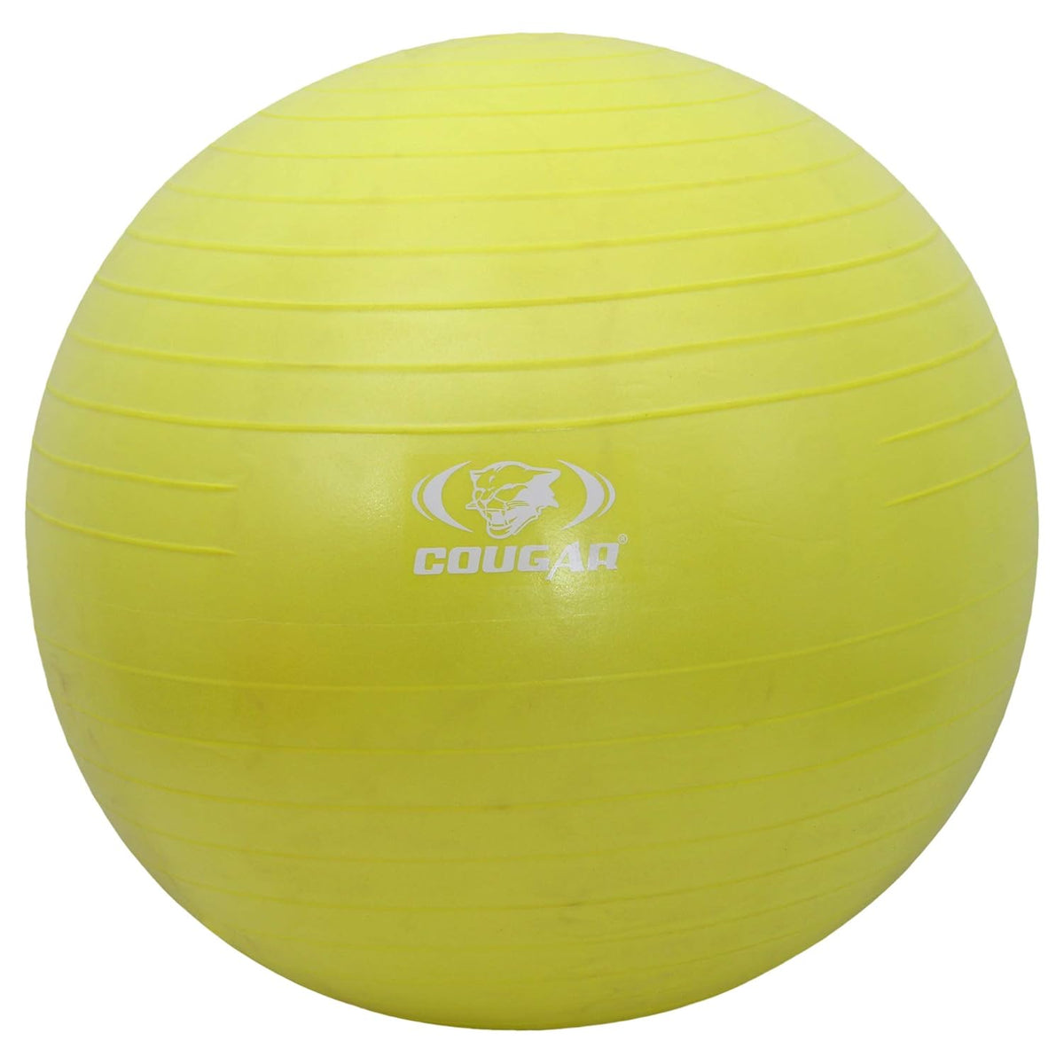 Gym Ball