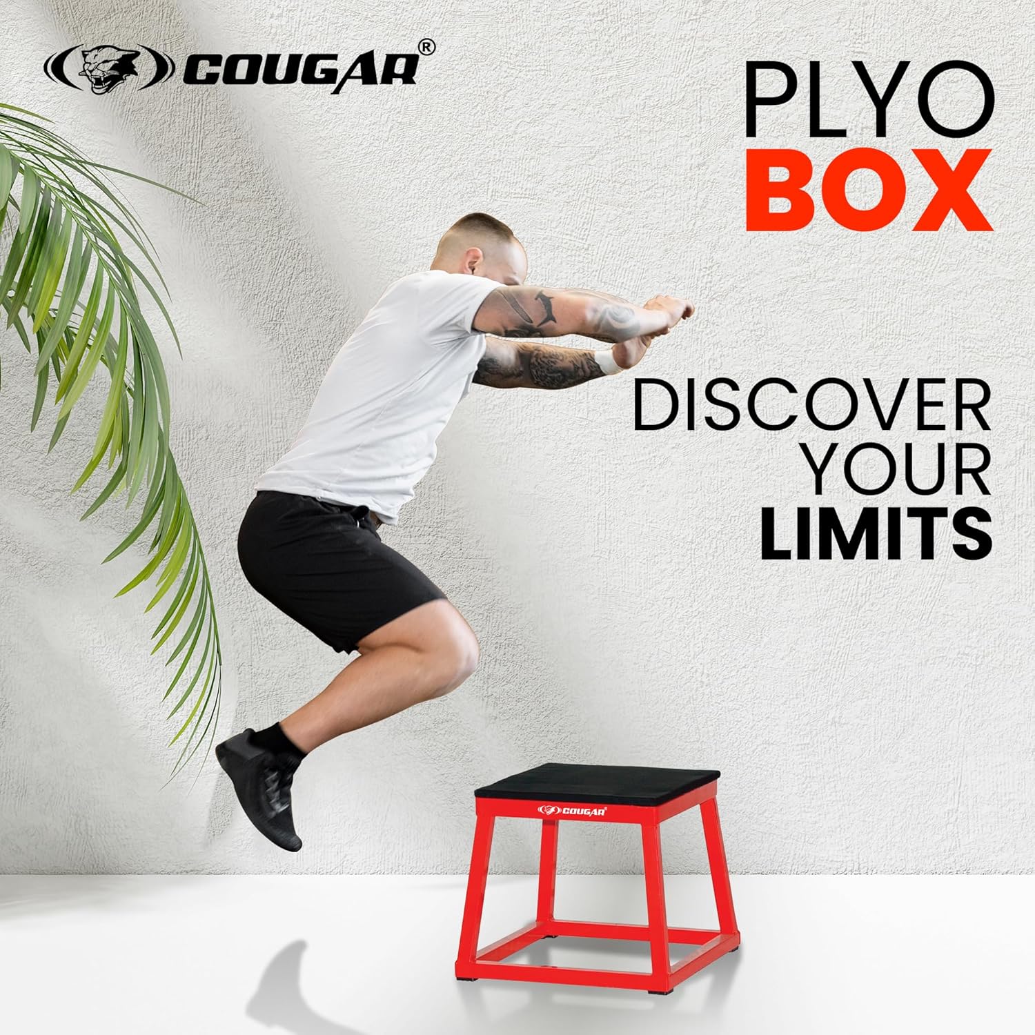 PLYO BOX