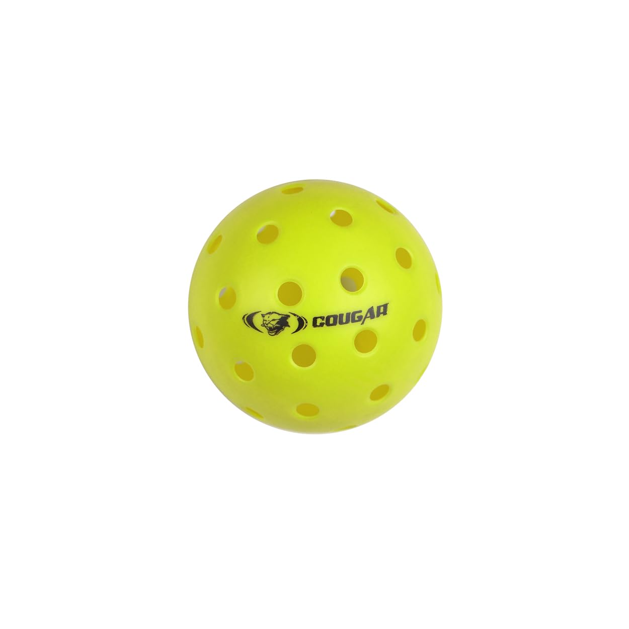 COMPETITION PICKLE BALL