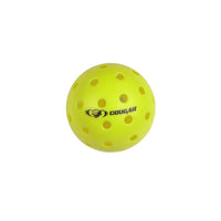 Competition Pickle Ball