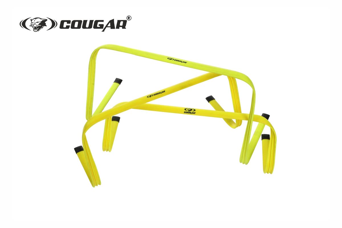 FLAT HURDLE
