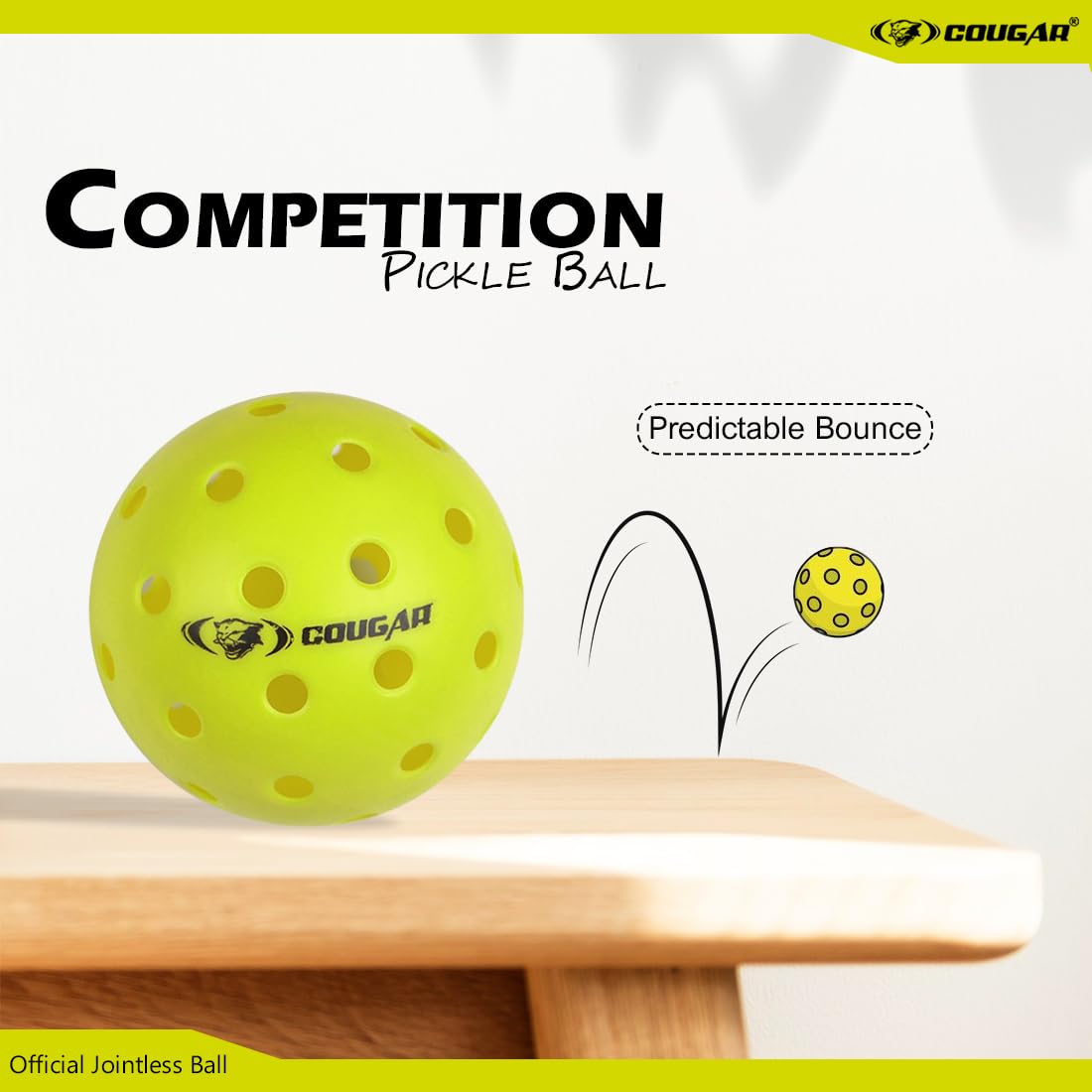 COMPETITION PICKLE BALL