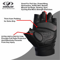 Titan Gym Gloves