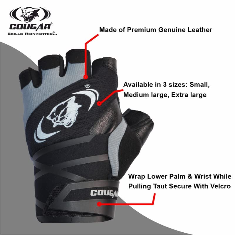 Titan Gym Gloves