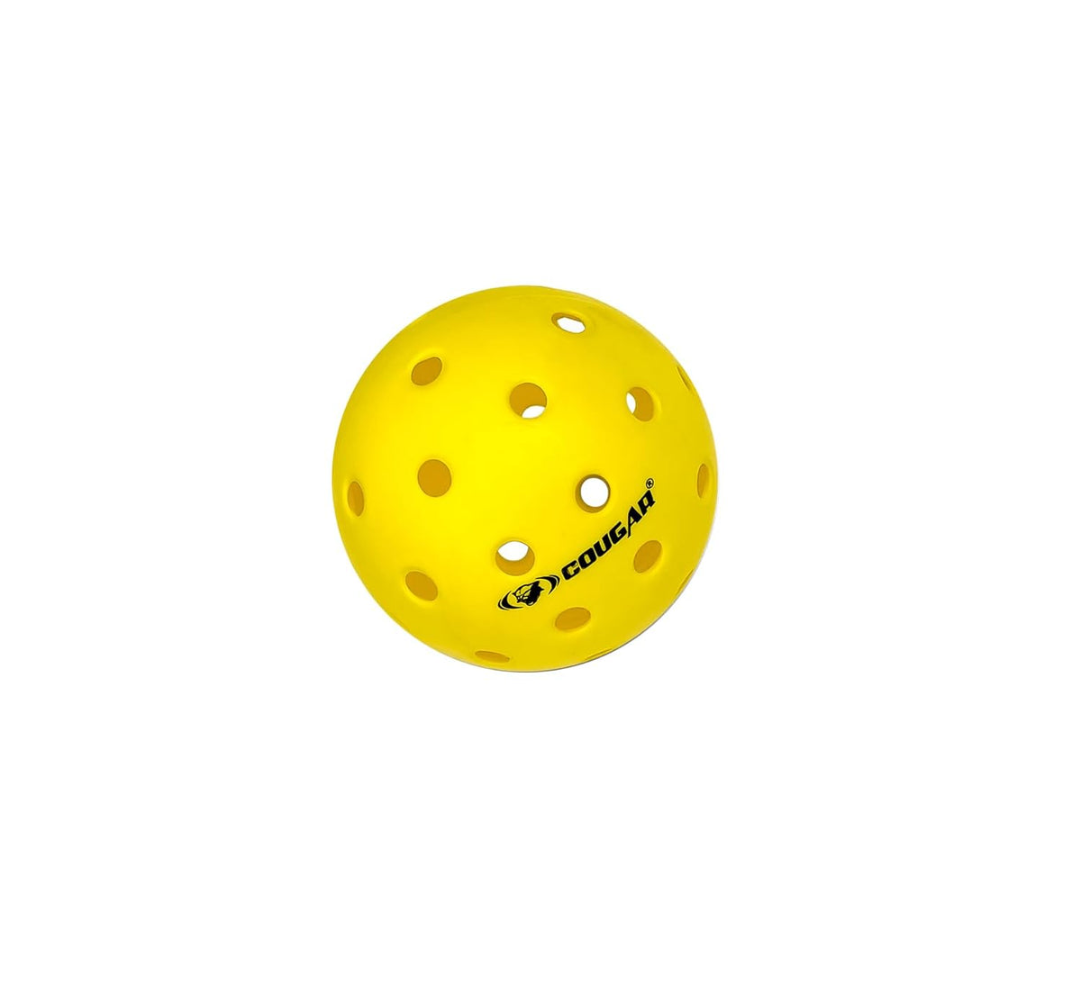 Pro 40 Pickle Ball