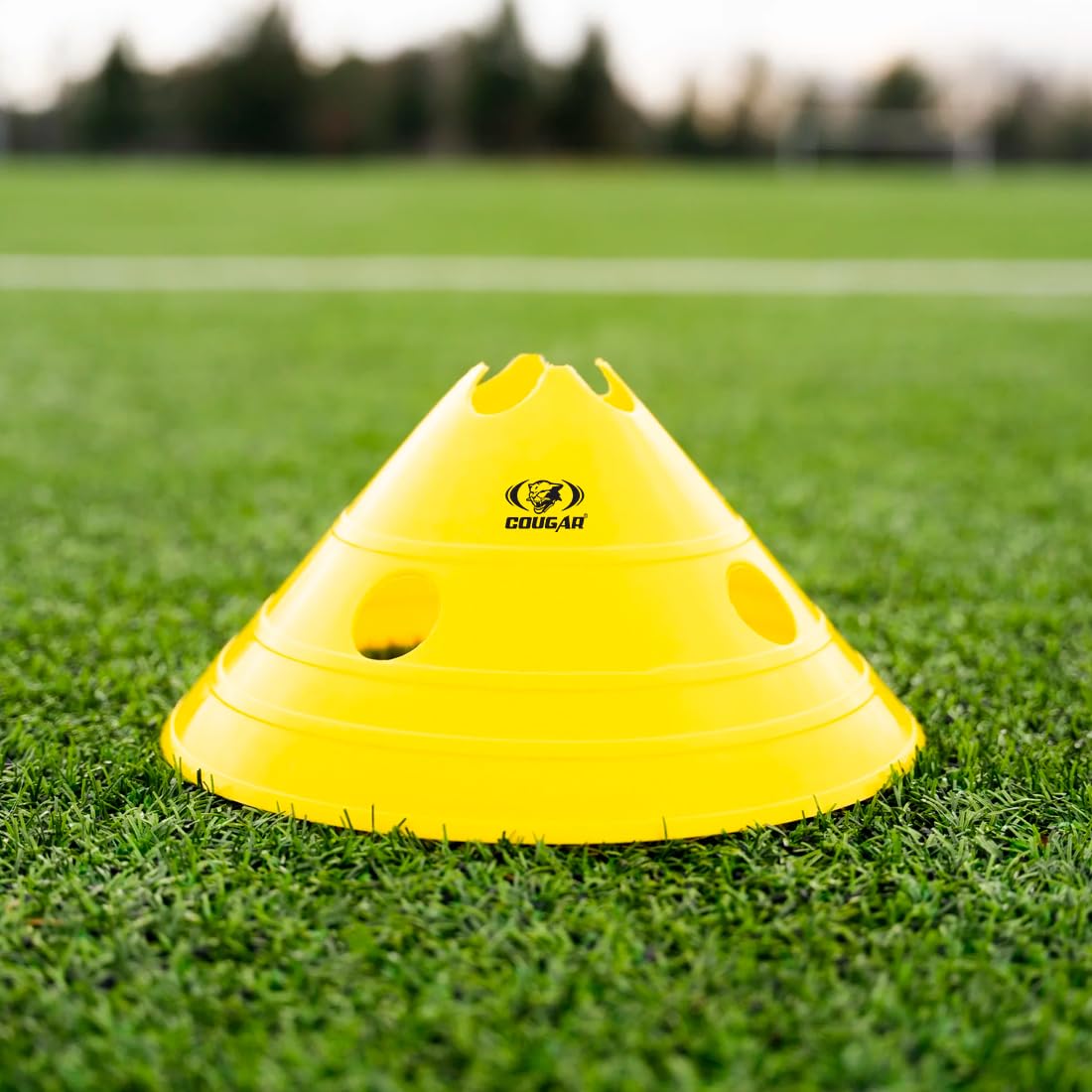 MEGA DISC CONE