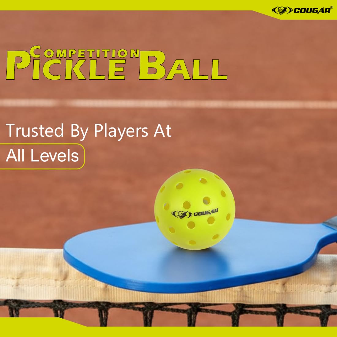 COMPETITION PICKLE BALL