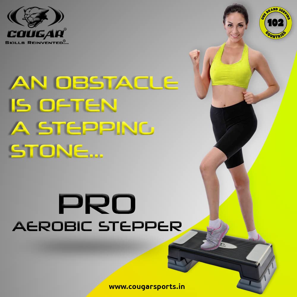 AEROBIC STEPPER