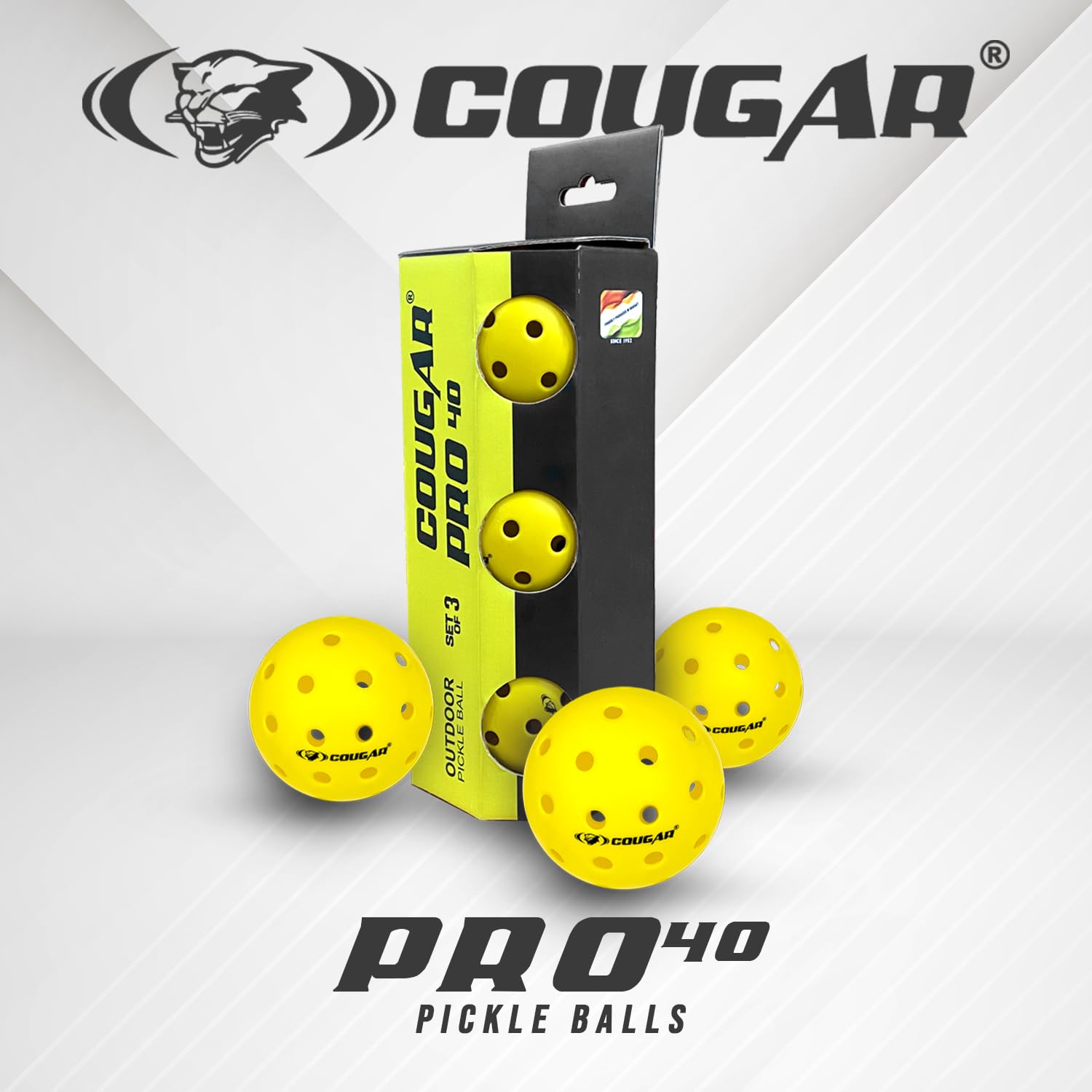 PRO 40 PICKLE BALL