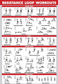 Exercise loop