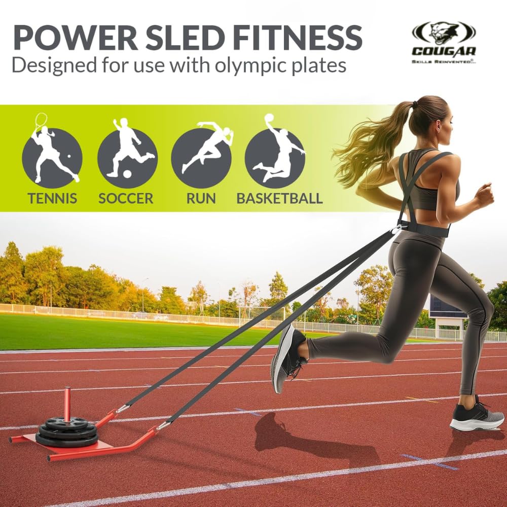 Power Sled