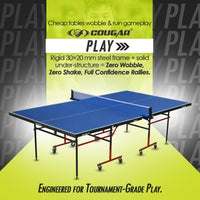 Table Tennis Table Play
