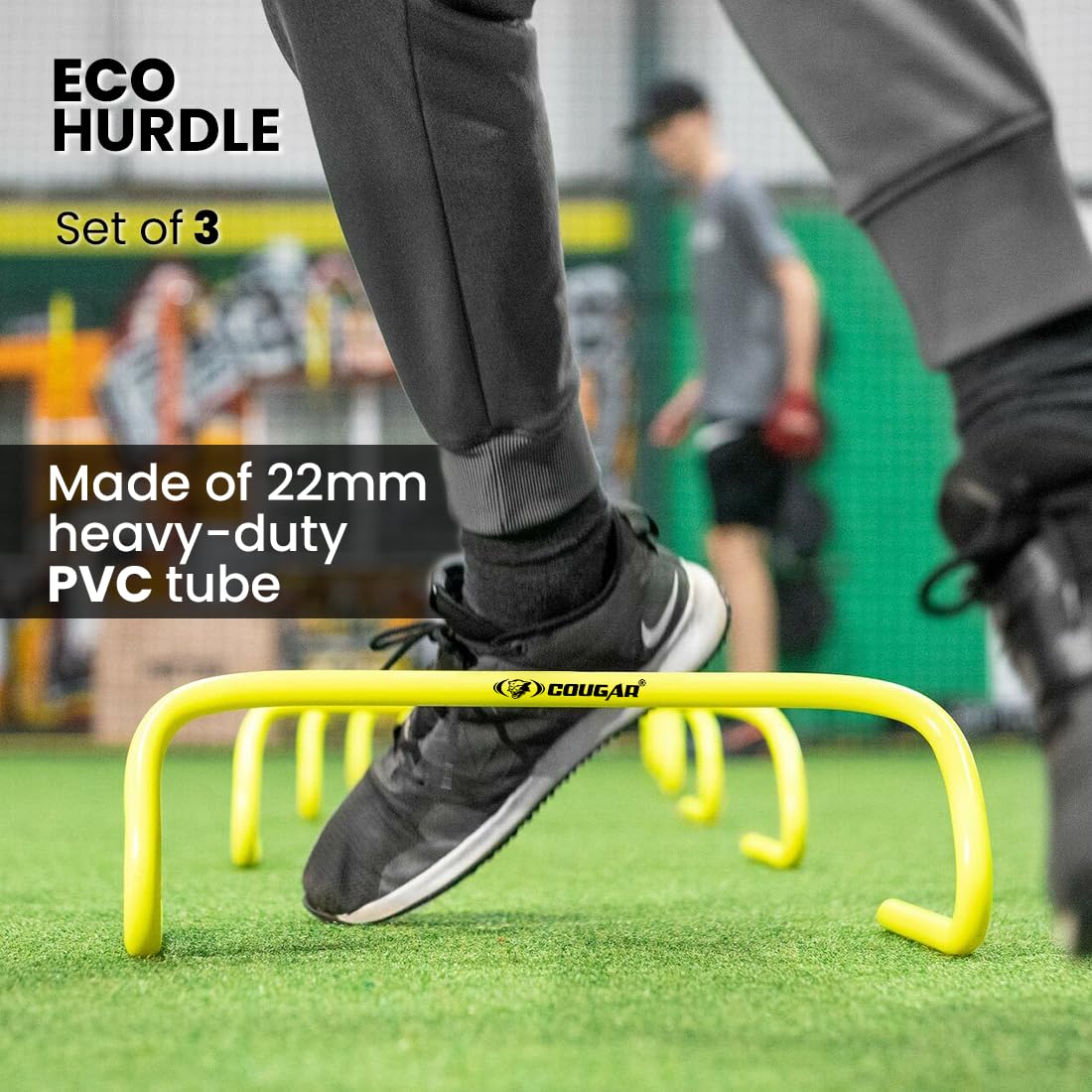 ECO HURDLE