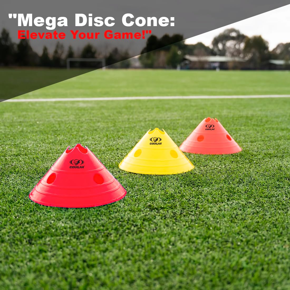 MEGA DISC CONE