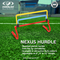 Nexus Hurdle
