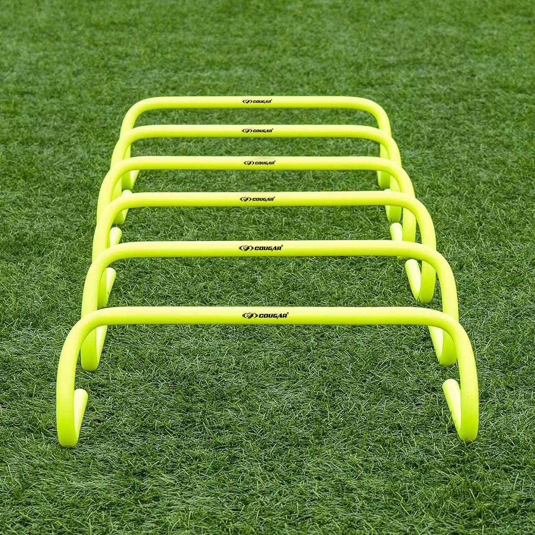 ECO HURDLE