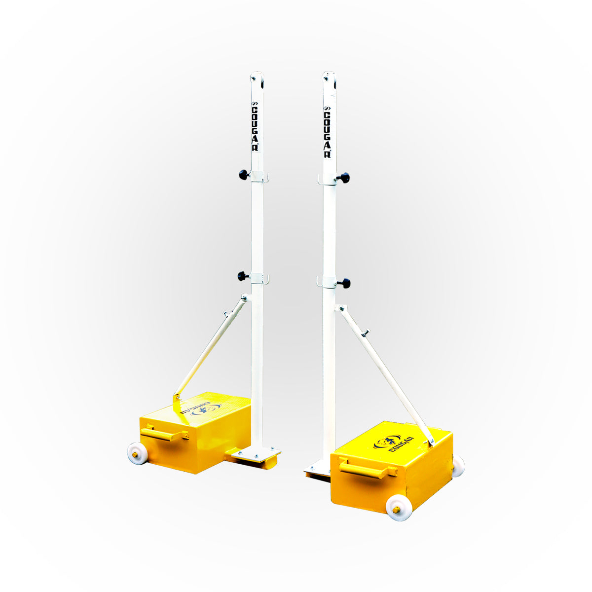 BADMINTON POLE