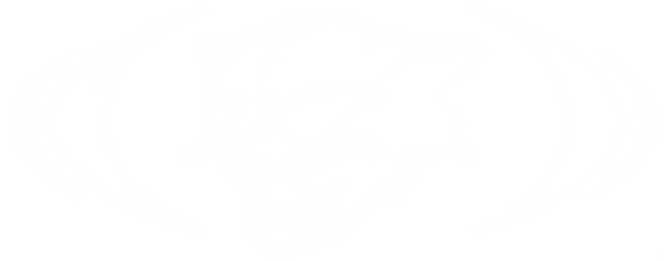 Cougar Sports