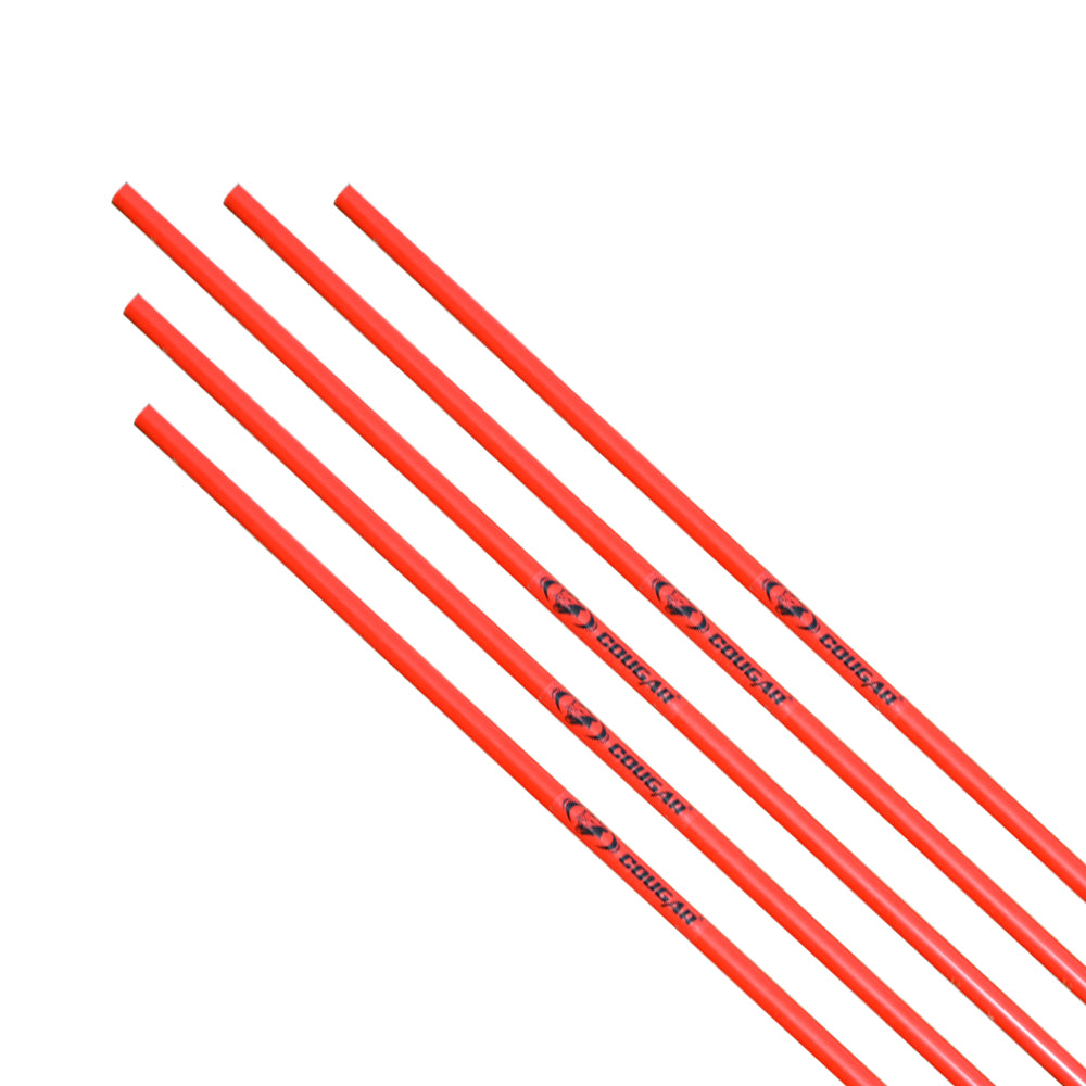 Training Pole